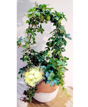 Sugar Vine on a hoop 