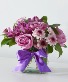 Sugarplum cube   cheerful 