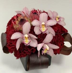 Sukkot, Burgundy (orchid & Protea) 