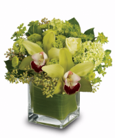 Sukkot, green orchids & Berry Sukkot, green orchids & Hydrangea