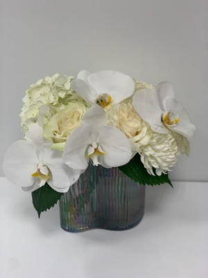 Sukkot (white flowers,) 