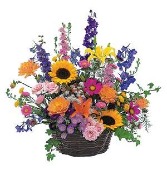 Summer at the Beach Bouquet 