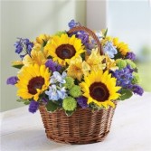 Summer Basket Arrangement