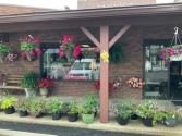 Summer baskets Blooming annuals 