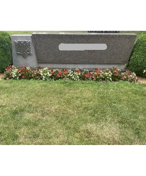 Summer Begonia Planting Price Depends on the Size of the Stone
