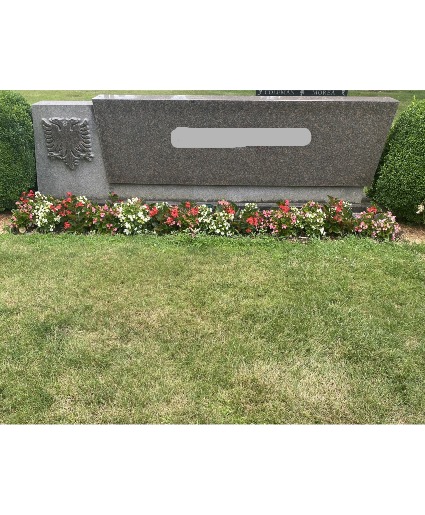 Summer Begonia Planting Price Depends on the Size of the Stone