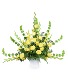 Purchase this funeral home arrangement