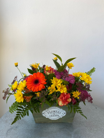 Summer Bloom Box
