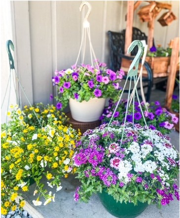 Summer Blooms Hanging Basket  in Anderson, IN | The Gift Box