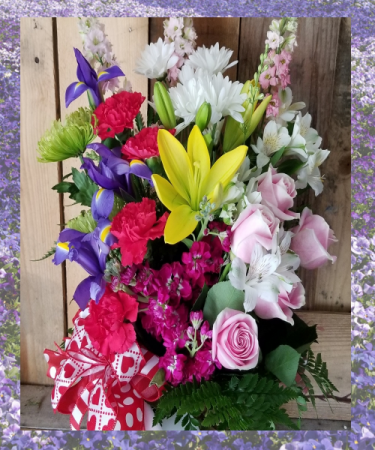 Summer Bold and Beautiful fresh