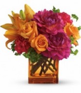 Summer Chic H158-1A