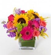 May Flowers 