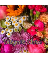 Summer Designers Choice  Summer Collection 