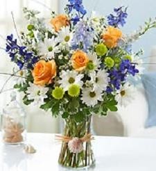Thinking of you...and the Beach! Best Seller!   in Gainesville, FL | PRANGE'S FLORIST