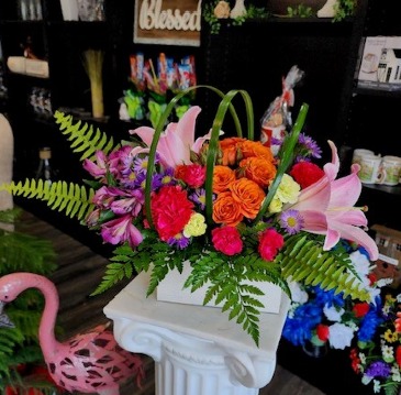 Summer Fling in Acworth, GA | Davis Flowers Summer Fling in Acworth, GA | Davis Flowers