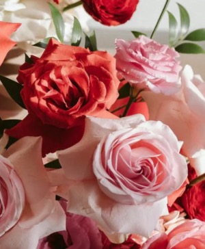 Floral Subscription 