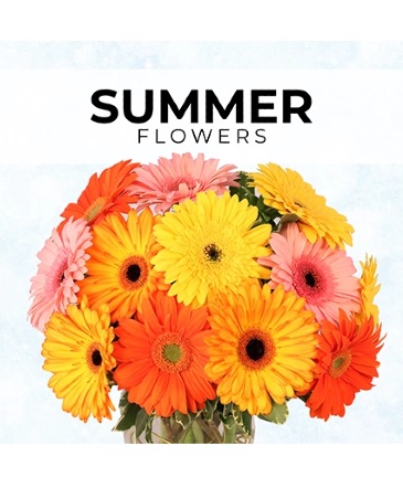 Summer Florist’s Pick Designer's Choice in Warren, PA | VIRG-ANN FLOWER SHOP LLC. Summer Florist’s Pick Designer's Choice in Warren, PA | VIRG-ANN FLOWER SHOP LLC.