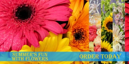 SUMMER FLOWERS ARE HERE! CALL FOR OUR DAILY SPECIALS!!