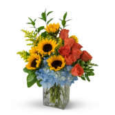 Summer Fun Arrangement