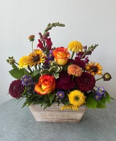 Sunny Garden Box 