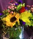 Summer Garden Cut Flowers