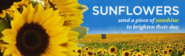 SUMMER IS HERE! SEND SOME SUNSHINE!!