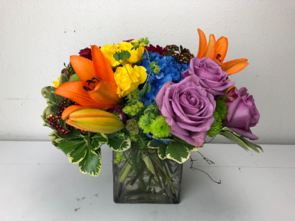 Summer Mix of Fun Bright and Colorful