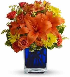 Summer Nights by Teleflora in Valley City, OH | HILL HAVEN FLORIST & GREENHOUSE Summer Nights by Teleflora in Valley City, OH | HILL HAVEN FLORIST & GREENHOUSE