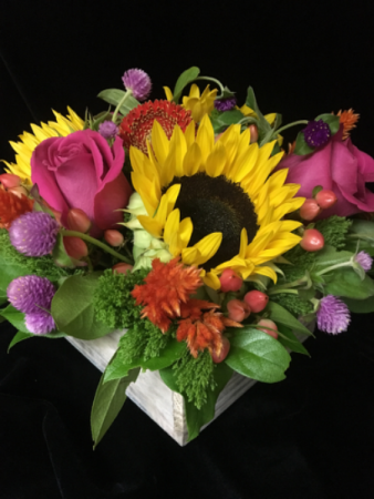 Floral Alchemy