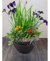 Summer Perennial Planter basket/planter