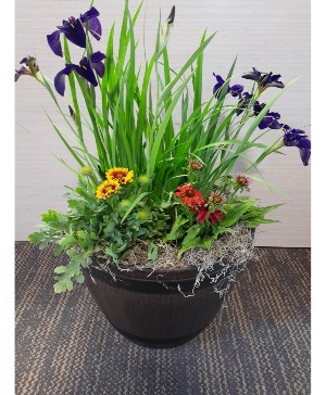 Summer Perennial Planter basket/planter