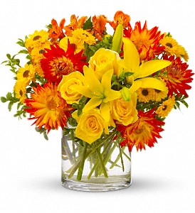 Summer Samba Mixed Flowers