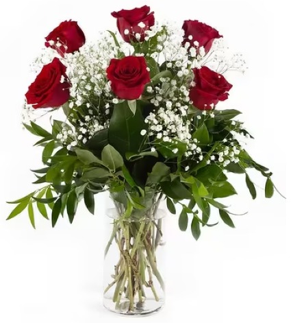 Half-Dozen Rose Arrangement