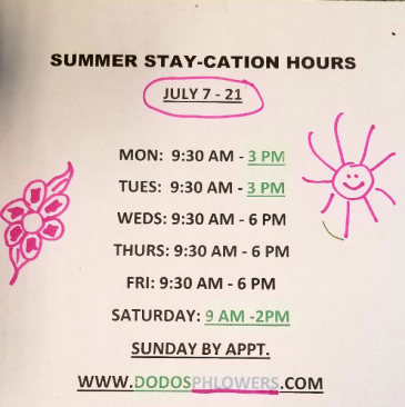 Summer stay-cation July 7 - 21
