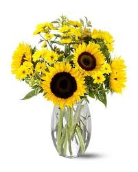 SUMMER SUNFLOWERS