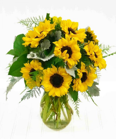 Summer Sunflowers 