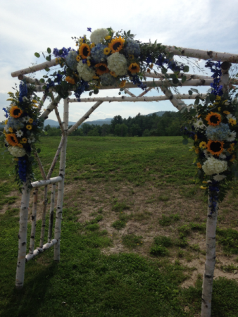 Summer Sunflowers