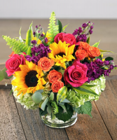 Summer Sunflowers  
