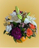 Summer Sunrise  Deal of the Week 