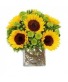 Summer Sunshine Arrangment