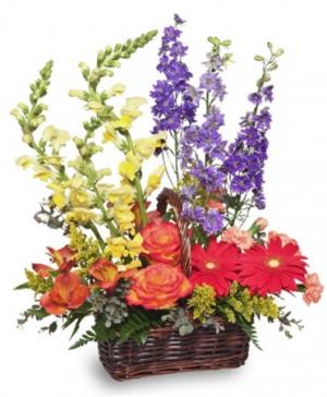 Summer's End Basket of Flowers