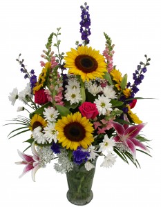 Category Image