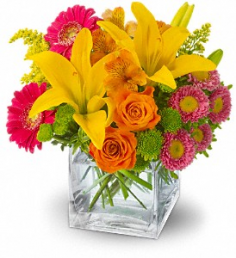 Category Image
