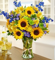 Take Me Away! Fun in the Sun Sunflowers, Blue Delphenium, Green button mums 