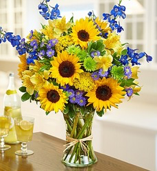 Take Me Away! Fun in the Sun Sunflowers, Blue Delphenium, Green button mums  in Monument, CO | Enchanted Florist