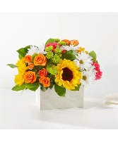 Sun-drenched Blooms Box Bouquet assorted flowers