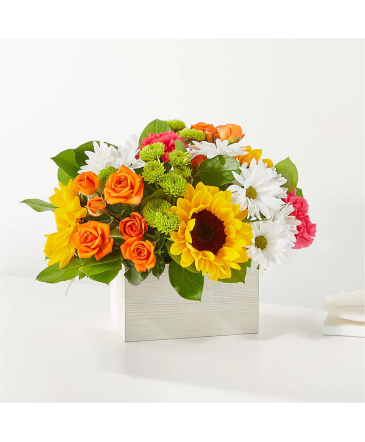 Sun-Drenched Blooms Box Mixed Arrangement in Van Wert, OH | THE SECRET GARDEN FLORAL & GIFTS Sun-Drenched Blooms Box Mixed Arrangement in Van Wert, OH | THE SECRET GARDEN FLORAL & GIFTS