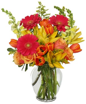 SUN-DRENCHED COLOR ARRANGEMENT 