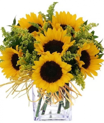 Sun Flower BQT