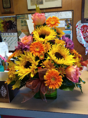 Sun flowers and Gerbera Daisies Container 